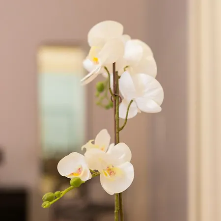 Macchi Delicious By 101flats 아파트 밀라노